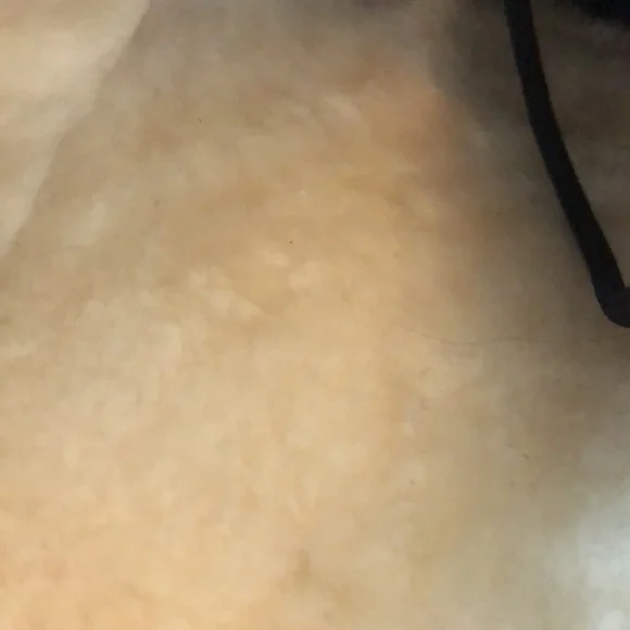 Alegria black emboss rose tall boots. Black. inner lace up. New in box! - Picture 10 of 10